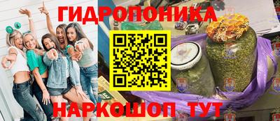Альфа ПВП Можга