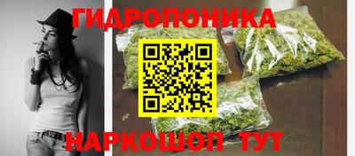 Альфа ПВП Можга