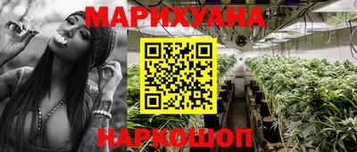 Альфа ПВП Можга