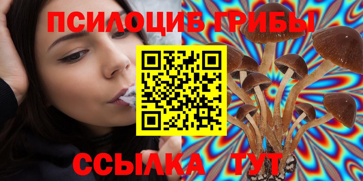 Псилоцибиновые грибы MAGIC MUSHROOMS Губаха