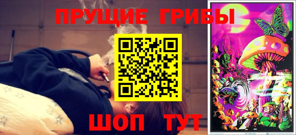 Губаха  Галлюциногенные грибы прущие грибы  Вход с VPN 