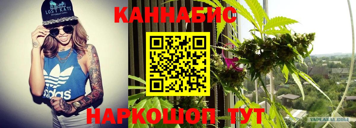 Канабис семена  Бошки марихуана сатива  Вход с VPN  Шишки марихуана Bruce Banner  Губаха 